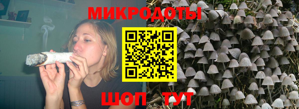 Славгород  Псилоцибиновые грибы Magic Shrooms  Вход с VPN 