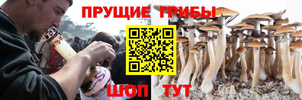 Псилоцибиновые грибы MAGIC MUSHROOMS Славгород