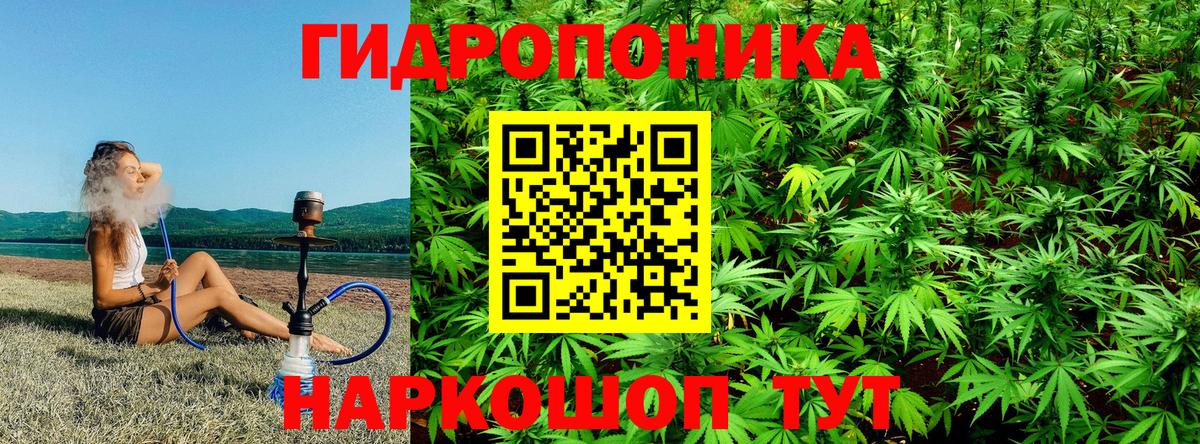 Канабис SATIVA & INDICA Славгород